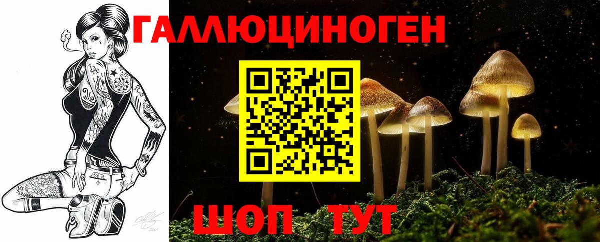 где купить наркоту  Псилоцибиновые грибы Cubensis  Азнакаево  Вход с VPN  Галлюциногенные грибы Psilocybine cubensis 