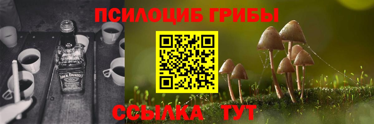 Галлюциногенные грибы прущие грибы Азнакаево
